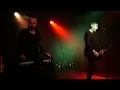 Traitrs - The Lovely Wounded