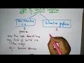 Computer Graphics Types CG Lec-03 Bhanu Priya
