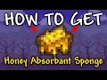 How to Get Honey Absorbant Sponge in Terraria Honey Absorbant Sponge Terraria