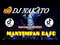 Lagu dj MANYIMPAN RASO
