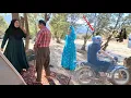 Download Lagu Suspicious Motorcycle and Karam: Ms. Halima's Effort to Save Mr. Omid\
