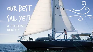 EP 9 | Our Best Sail Yet! | Inconvenient Stuffing Box Fix
