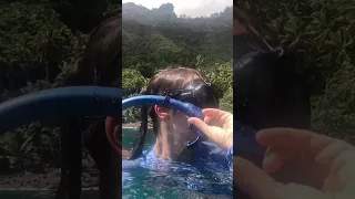 Epic Dive On The Healthiest Reef!