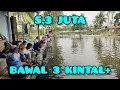 Download Lagu Rp 3,5 juta ikan bawal 3 kintal+ pelengkap mas dan nila di pancing 9 orang full strike !