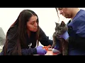 Introducing the Carson Community Veterinary Clinic by Kathy Taggares