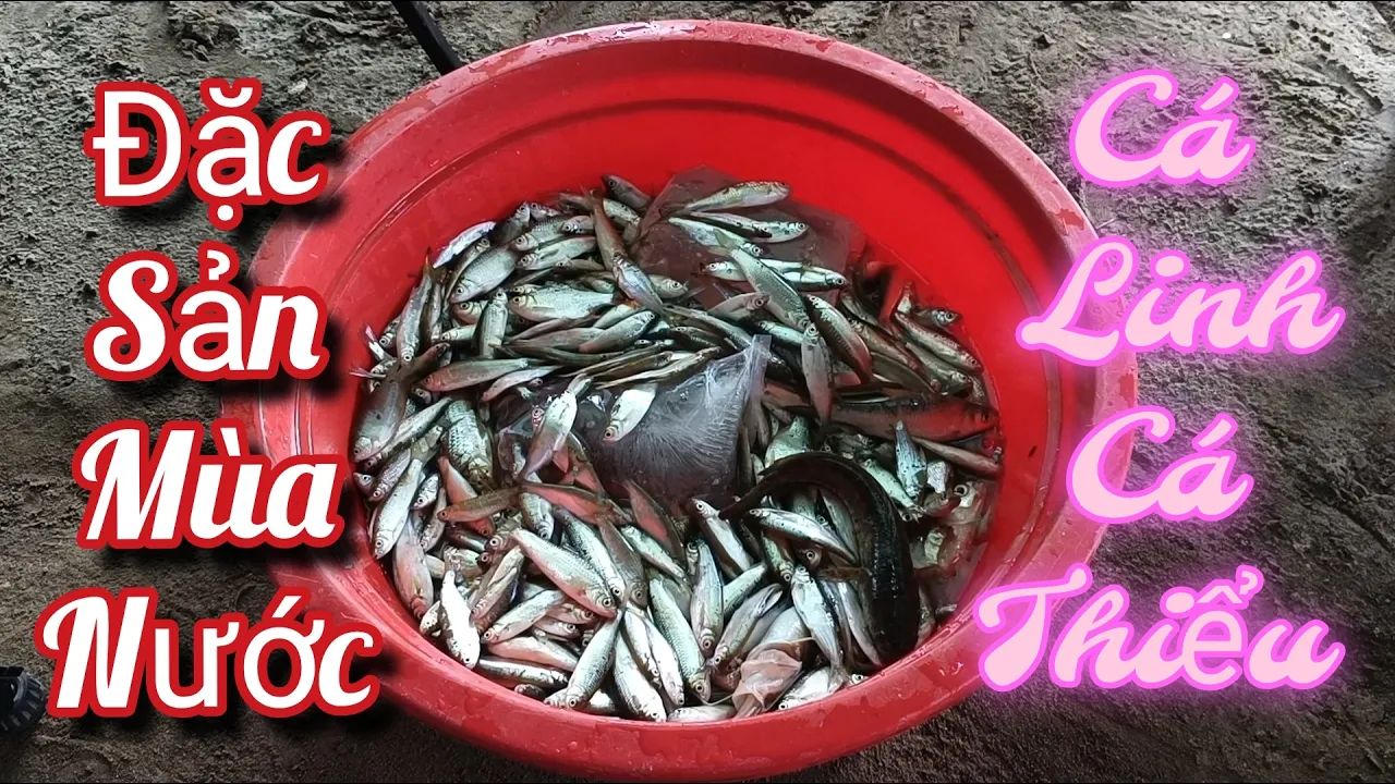 Đặc sản mùa nước nổi 19