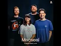 Cats (Audiotree Live)