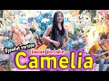 Lagu CAMELIA - IMELDA VERONIKA - BERKAH MUSIC DANGDUT KOPLO JARANAN