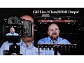 Panasonic LUMIX DMC-G85 Live Clean MI Output