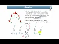 Unit2 2D Kinematics - Projectile Motion and 2D Vectors