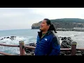 Download Lagu ANGAN ANGAN NAHOLOM (OFFICIAL MUSIC VIDEO) ROMAL MANURUNG