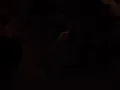 Dança "Autor da vida"- Diante do trono