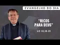 Lagu EVANGELHO DO DIA 20/10 (2ª feira): RICOS PARA DEUS Lc 12,13-21