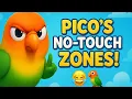 Download Lagu Raak de kroon niet aan 👑 – Pico's koninklijke regels 🦜😂 @LoveBird-mango 