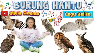 Download Lagu anak populer 2023‼️Burung Hantu - artis Olivia Susanto #laguanak #oliviasusanto #burunghantu MP3