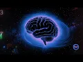 【警告】超人的知能の活性化 | 左脳の論理 + 右脳の創造性 + 中脳