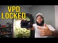 Spider Farmer App Setup Automate Your Grow Tent for Perfect VPD Veg Guide
