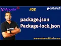package and package lock json file in Angular 21 Angular 21 Tutorials in Hindi