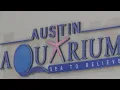 Austin Aquarium faces lawsuit after girl s parents claim she was bitten by an un-vaccinated lemur