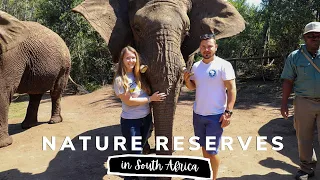 Best WILD ANIMAL Sanctuaries in the WORLD!