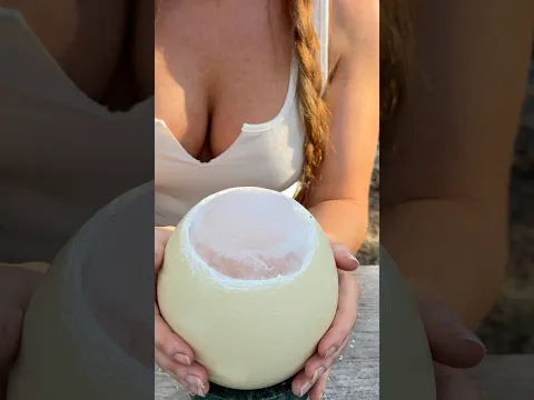 Giant Ostrich Egg for breakfast #shorts #nature #asmr
