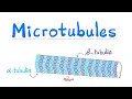 Microtubules