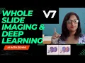 Deep Learning for Whole Slide Imaging Preprocessing and Annotating WSI Datasets with V7