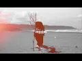 Download Lagu Trees - Musim (Official Lyric Video)
