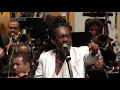 Luiz Melodia: Codinome Beija Flor - Harmonia
