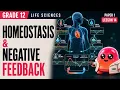 Grade 12 Homeostasis Negative Feedback Normal Range and Feedback Loops