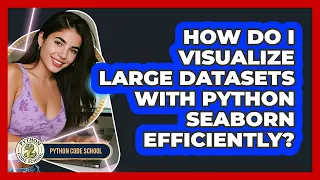 How Do I Visualize Large Datasets With Python Seaborn Efficiently - Python Code School