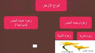 دورة حياة النباتات الزهرية للصف الخامس التلقيح 