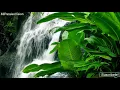 Relax 8 Hours-The Gentle Sound of a Mountain Stream Sounds-Bird Song-Study-Sleep-Relaxation