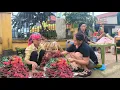 Download Lagu Single mother goes into the forest to pick fruit and sell it at the market to generate income.