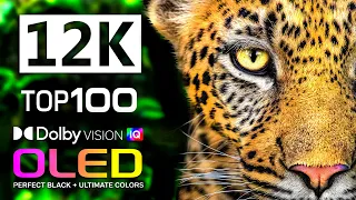 12K HDR 60FPS | TOP 100 Animal Planet & Wild Animals | Beauty OLED TV | Dolby Atmos • IMAX Enhanced