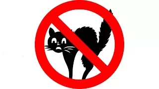 How To Get Rid Of Cats Ultrasonic Cat Deterrent Cat Ultrasonic Repellent 12 Hours 