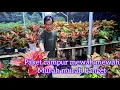 Download Lagu Paket campur campur murah banget#