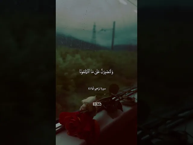 ⁣بِسْمِ اللَّهِ الرَّحْمَنِ الرَّحِيم✨#آيات #تلاوة #قرآن