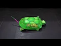 TNT Fireworks - Mr Turtle