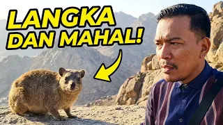 TIBA TIBA MUNCUL LAGI BINATANG LANGKA DI MAKKAH