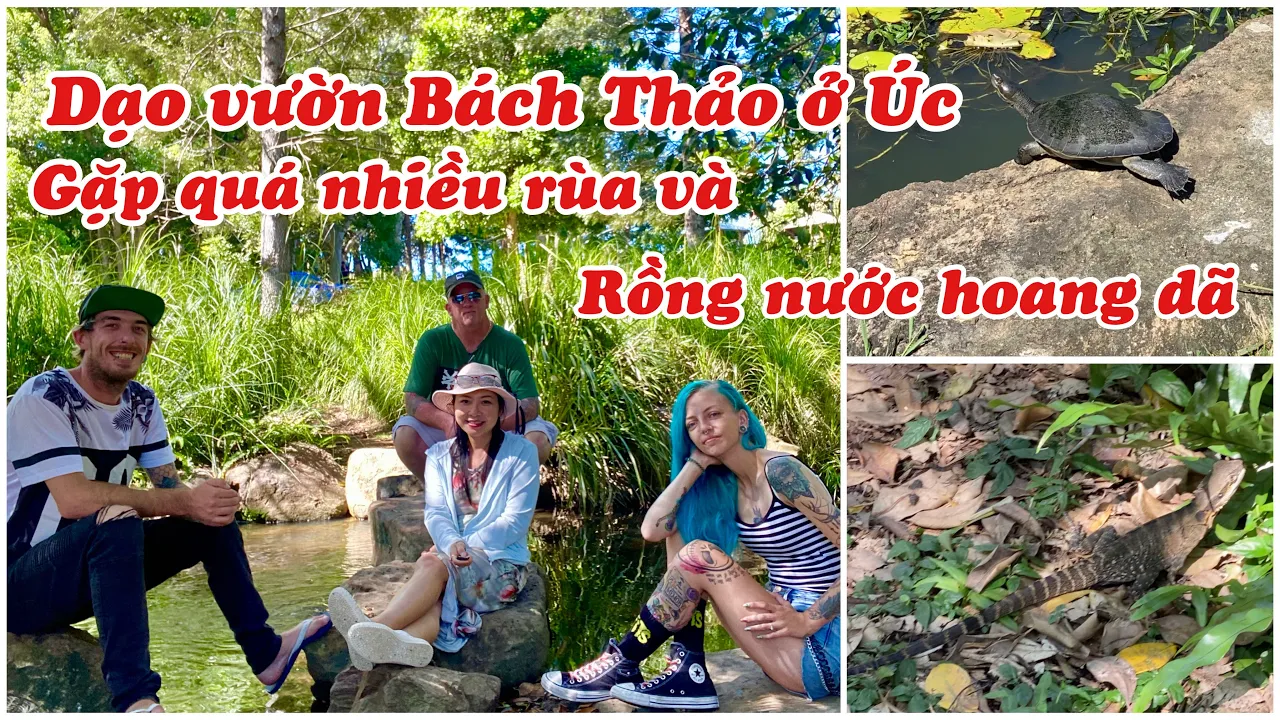 DẠO VƯỜN BÁCH THẢO ROSSER Ở GOLD COAST | VỚI CON CHỒNG TÂY | BOTANIC GARDEN ROSSER  | DU LỊCH ÚC