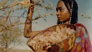 نغمه رنين سودانيه دندنها