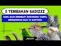 Download Lagu MASTERAN FULL TEMBAKAN RAPAT JERNIH MEWAH - MASTERAN KOMBINASI TEMBAKAN RAPAT JERNIH JEDA - 5 IN 1