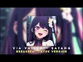 DJ SAYANG - VIA VALLEN BREAKBEAT TIK TOK VERSION