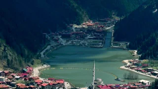 محمد النقيدان البقرة 