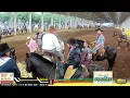 34º RODEIO DO CTG SEARA E PAMPA - SÁBADO DE TARDE 12 DE MARÇO 2022 - SEARA-SC