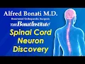 Spinal Cord Neurons for Brain-Independent Movement | Dr. Alfred Bonati