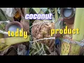 Download Lagu Coconut toddy product 🌴🌴 coming 3 litres look at this #trending #viral #video #new #cute 
