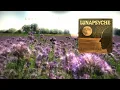 Download Lagu Album Lunapsyche