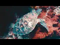 Lane 8 - Stir me up